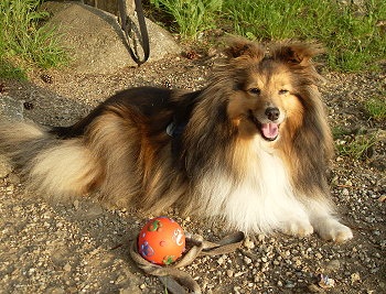 Jessy im September 2010