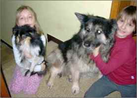 Zwei- und viebeinige Freunde