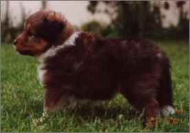 Clarissa vom Affinger Bach