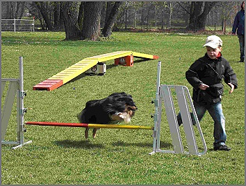 Evita beim Agility