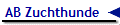 AB Zuchthunde