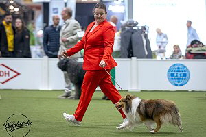 Bailey im Ehrenring auf der Bundessieger-Ausstellung in Dortmund 2025