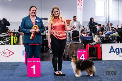 Veteranen-BOB auf der Agria Trophy Show in Dortmund 2025