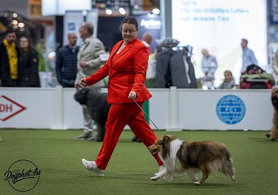Im Ehrenring auf der Bundessieger-Ausstellung Dortmund 2025