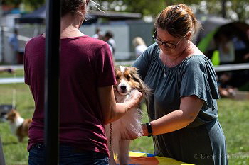 Foto: Elena M�hlbauer