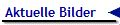 Aktuelle Bilder