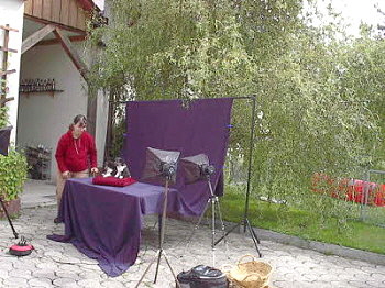 Impressionen vom Foto-Shooting f�r das Rasseportr�t in der Zeitschrift "Partner Hund"