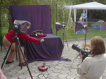 Impressionen vom Foto-Shooting f�r das Rasseportr�t in der Zeitschrift "Partner Hund"