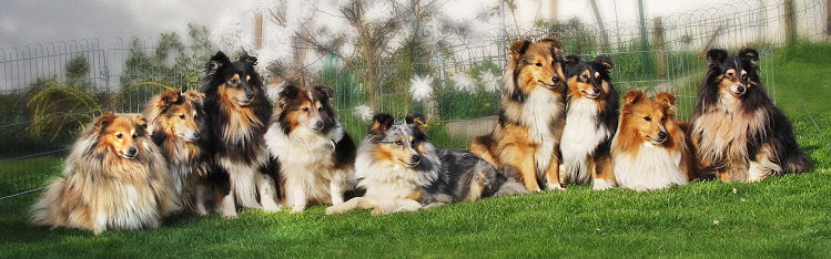 Das Affinger Bach Rudel im April 2014