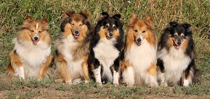 Unsere Rentner im August 2022