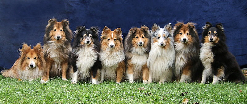 Unsere Senioren im Oktober 2025