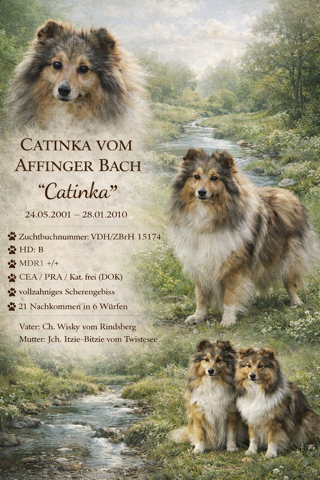 KI-Collage von Catinka vom Affinger Bach