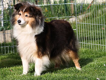 Fjaska kurz nach ihrem 10. Geburtstag