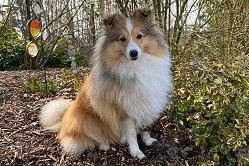 In Erinnerung an Duplo