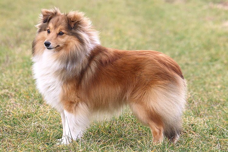 Hiphip Hurra vom Affinger Bach 