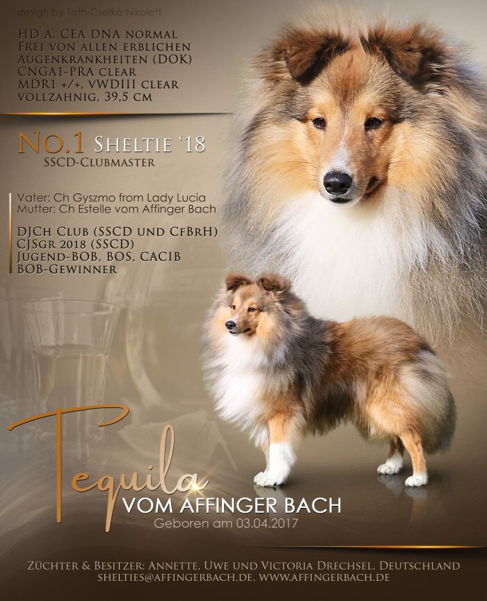 Tequila vom Affinger Bach 