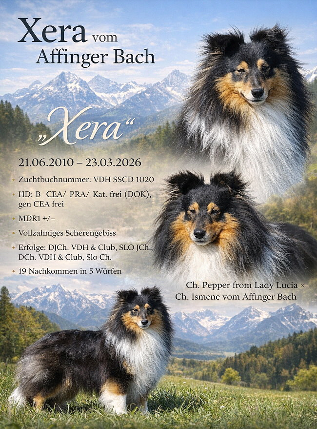 KI-Collage von Xera vom Affinger Bach