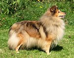 Fanny vom Schferstolz