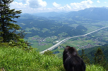 Ninjas erste Wanderung in den Alpen