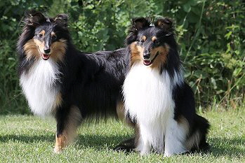 Rudi und Halbbruder Hannes