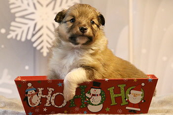 Hiphip Hurra vom Affinger Bach, 3 Wochen alt