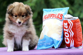 Janis J. vom Affinger Bach