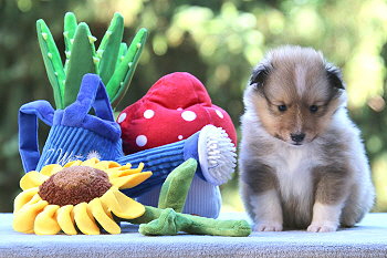 Jana Ina Z. vom Affinger Bach, 4 Wochen alt