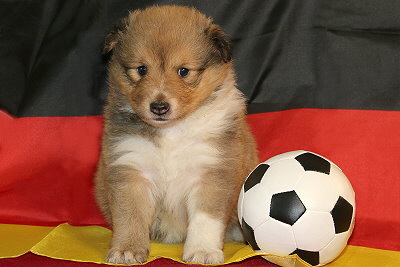 Omaha vom Affinger Bach, 4 Wochen alt