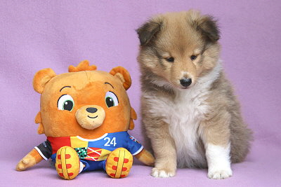 Omaha vom Affinger Bach, 6 Wochen alt