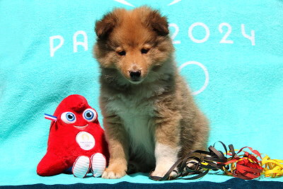 Omaha vom Affinger Bach, 8 Wochen alt