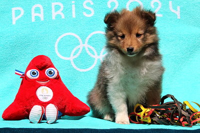 Ottawa vom Affinger Bach, 8 Wochen alt