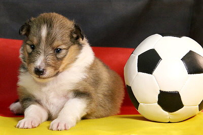 Pina Colada vom Affinger Bach, 2 Wochen alt