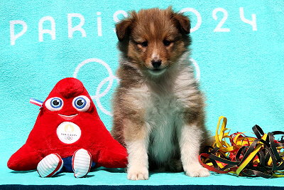 Pina Colada vom Affinger Bach, 6 Wochen alt