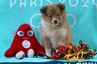 Panna Cotta vom Affinger Bach, 6 Wochen alt