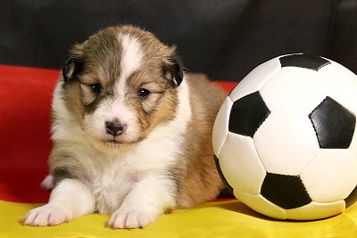 Pink Lady vom Affinger Bach, 2 Wochen alt