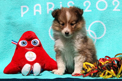 Pink Lady vom Affinger Bach, 6 Wochen alt