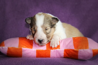 U3-1 vom Affinger Bach, 2 Wochen alt