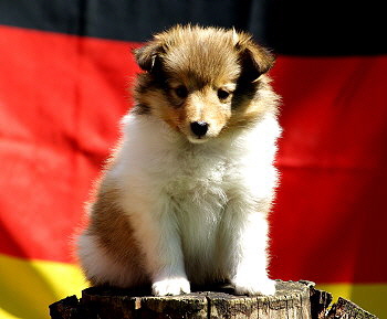 Karla Konfetti vom Affinger Bach