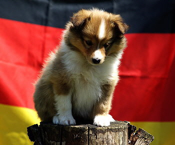 Kesha Khedira vom Affinger Bach