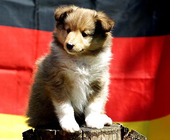 Kjell Karamell vom Affinger Bach