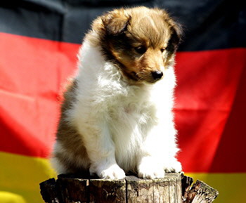 Kaspar Konfetti vom Affinger Bach