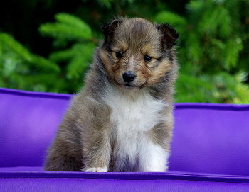 Marco vom Affinger Bach