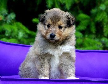 Marcel vom Affinger Bach