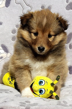 Primadonna vom Affinger Bach