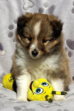 Paparazzi vom Affinger Bach 