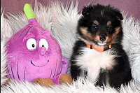 That�s True Magic Next Fairytale Princess Raya, 6 Wochen alt