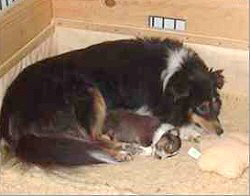 Mama Sunny mit ihrem Einzelkind