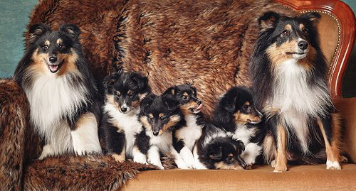 Familienfoto mit 8 Wochen 