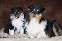 Ratzefatz vom Berghof Engelsbrand mit Mama Maya