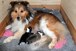 Thats true Magic K-Wurf